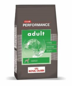 Performance Adulto x 20 Kg