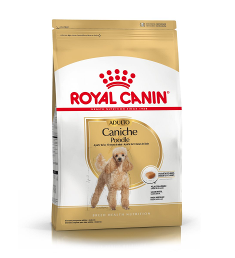 Caniche Adulto x 1 Kg