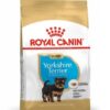 Yorkshire Terrier Junior X 3 Kg