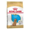 Caniche Junior x 1 Kg