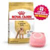 Caniche Adulto x 3 kg+Cepillo Masajeador!!