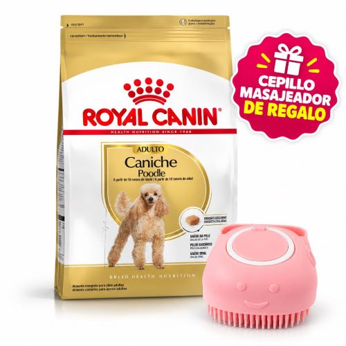 Caniche Adulto x 3 kg+Cepillo Masajeador!!