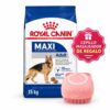 Maxi Adulto x 15 Kg+Cepillo Masajeador!!