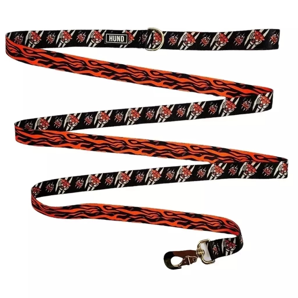 Correa Hund Tigre