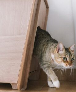 Mueble de Gatos Zuri - Imagen 7