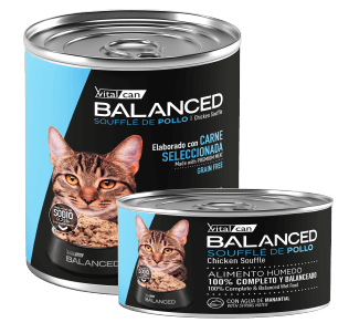 Balanced Souffle Gato Adulto Pollo 340/85grs