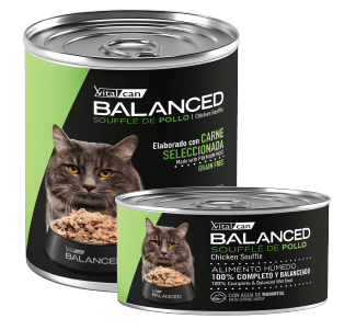 Balanced Souffle Gato Castrad. Pollo 340/85grs