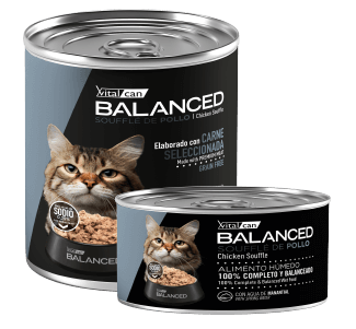 Balanced Souffle Gato Senior Pollo x 85grs