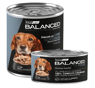 Balanced Souffle Perro Senior Pollo 340/85grs