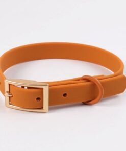 Conjunto UrbanFlex Large Mostaza - Imagen 2