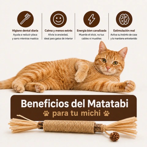 Stick Matatabi Japones - Imagen 3