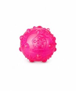 Pelota Goma Con Sonido TPR Trixie
