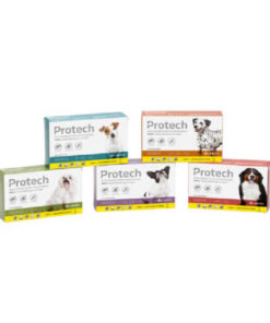 Protech Perro Pipeta 2+1 ( Pack 3 Unidades )