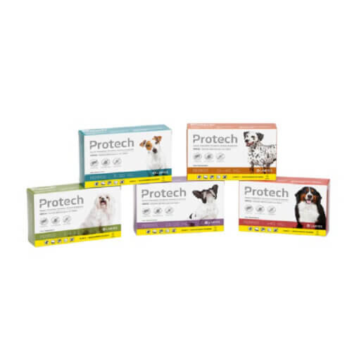 Protech Perro Pipeta 2+1 ( Pack 3 Unidades )